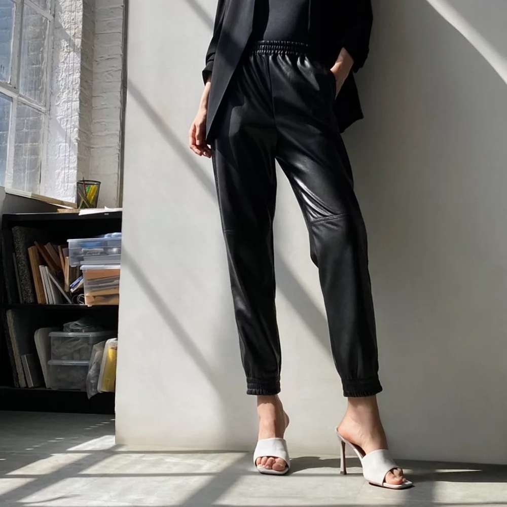 Aritzia Babaton vegan leather joggers size small